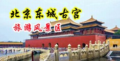 美女被操看片视频中国北京-东城古宫旅游风景区